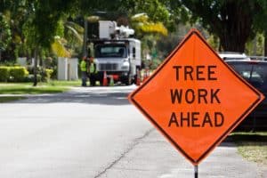 Orange information sign with black letters displayed in front of tree maintenance workers and truck.